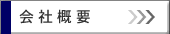ЊTv